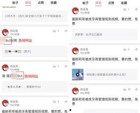 视频最新爆料网站